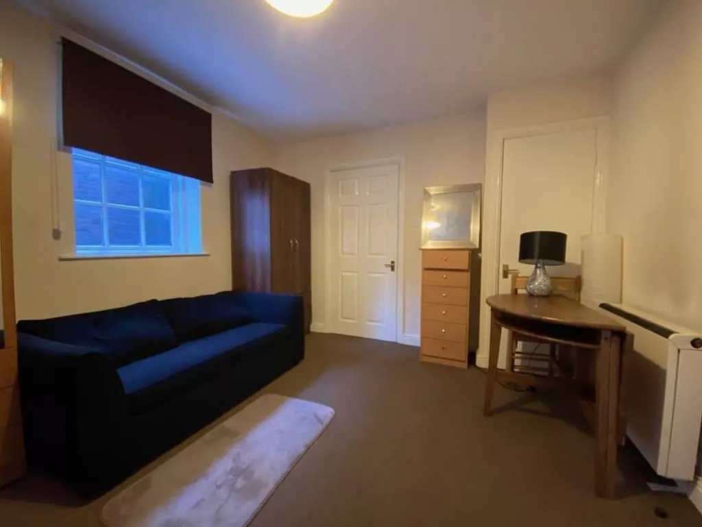 BEDROOM/LIVING ROOM