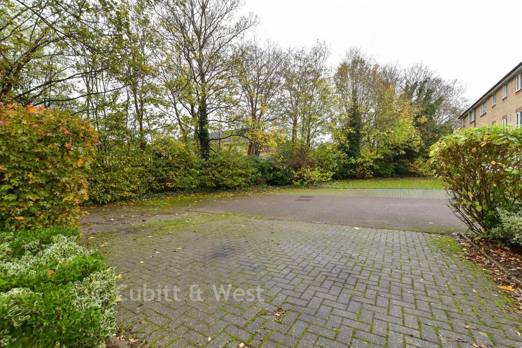 Driveway/Parking