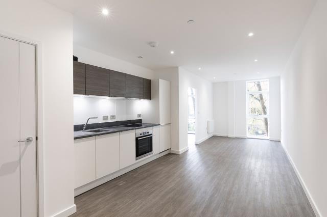 Kitchen/Living Area