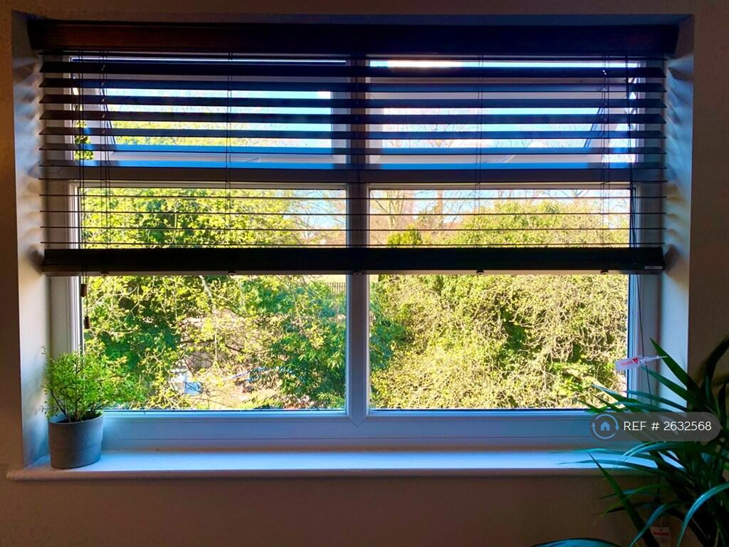 View From Living Room