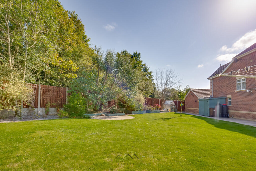 Back garden 1.1