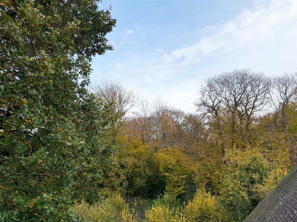 39. View-from-Second-Floor-Window.jpg