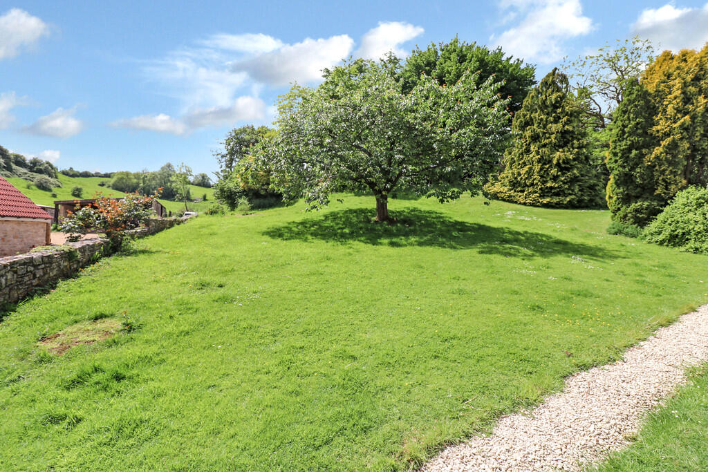 Shared Garden