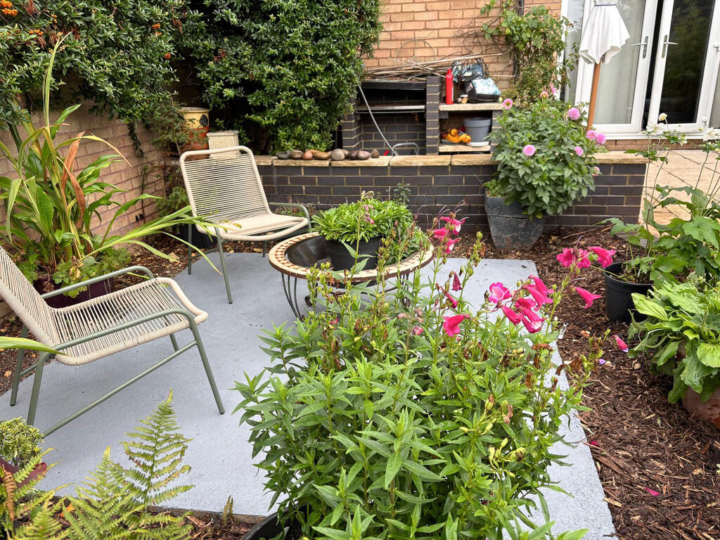 WhatsApp Image 20...