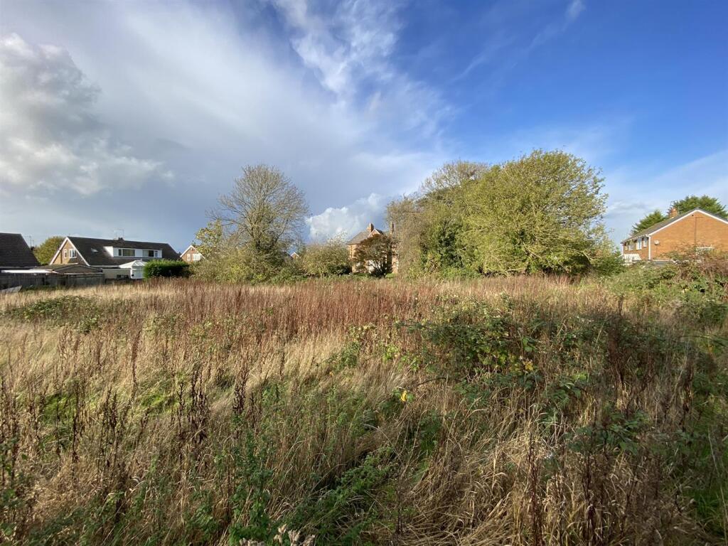 IMG_1609.JPEG