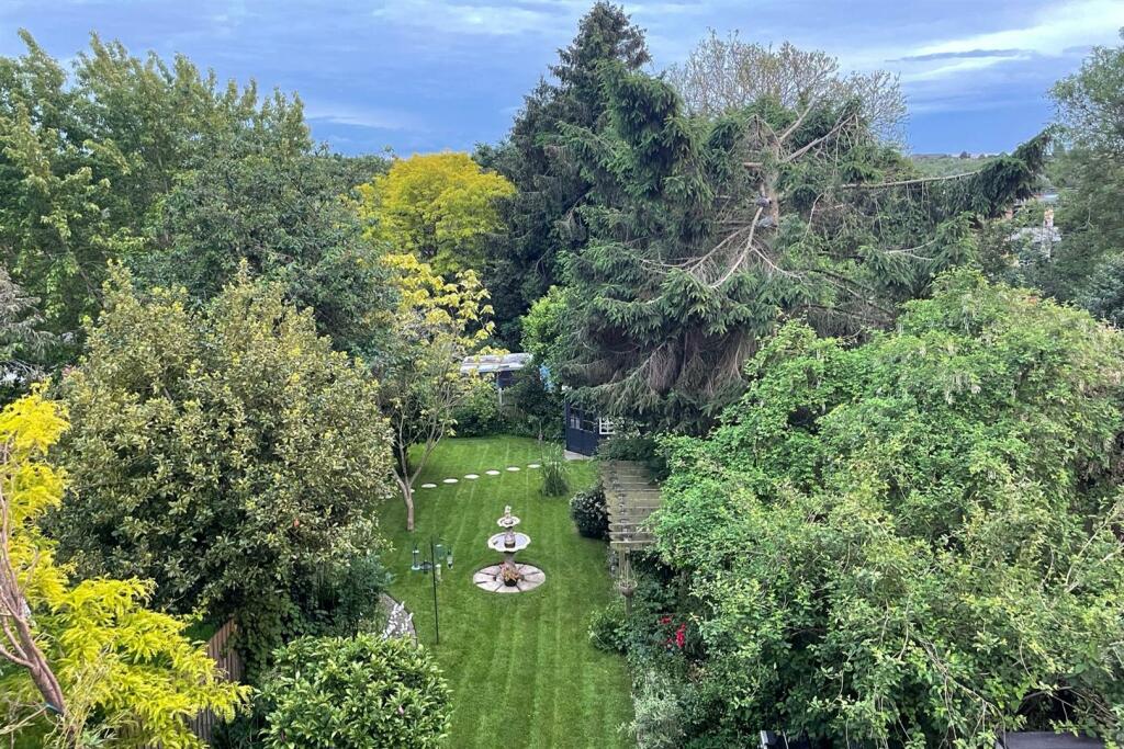 View From Bedroom.jpg