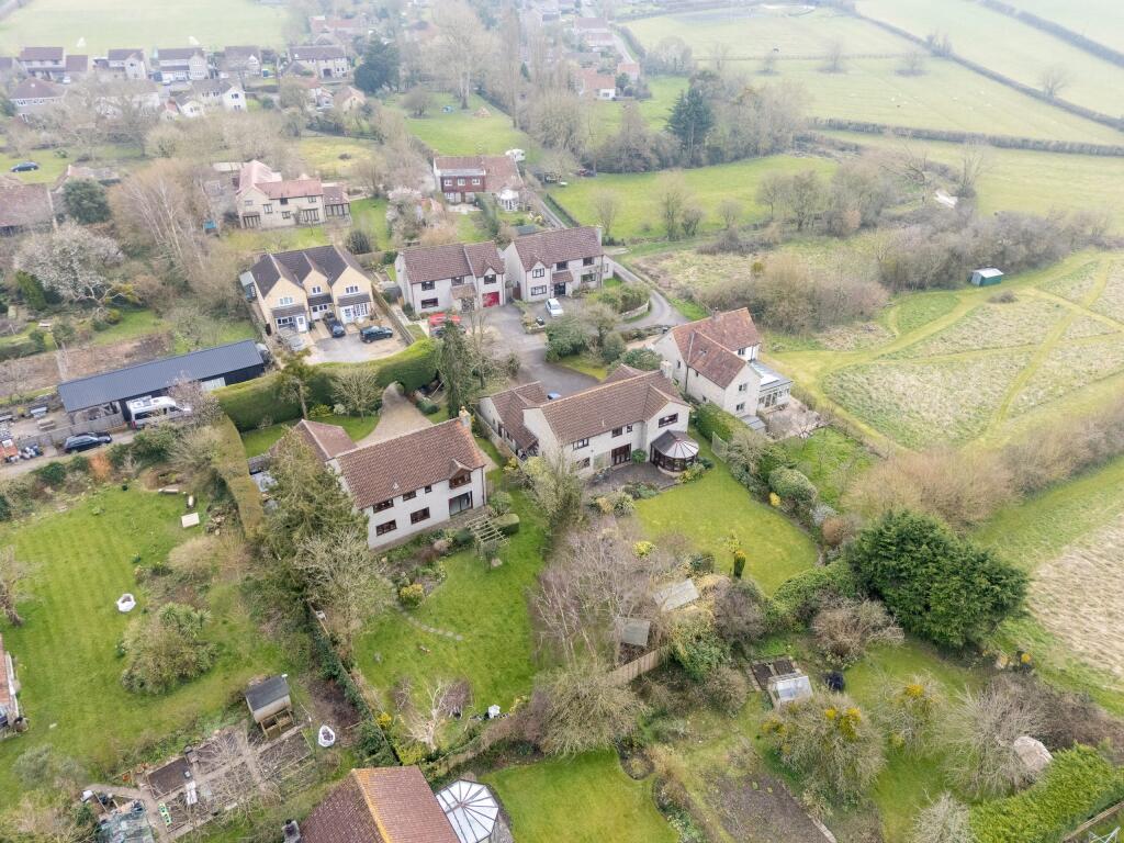 TEK HiRes 250310 005.jpeg