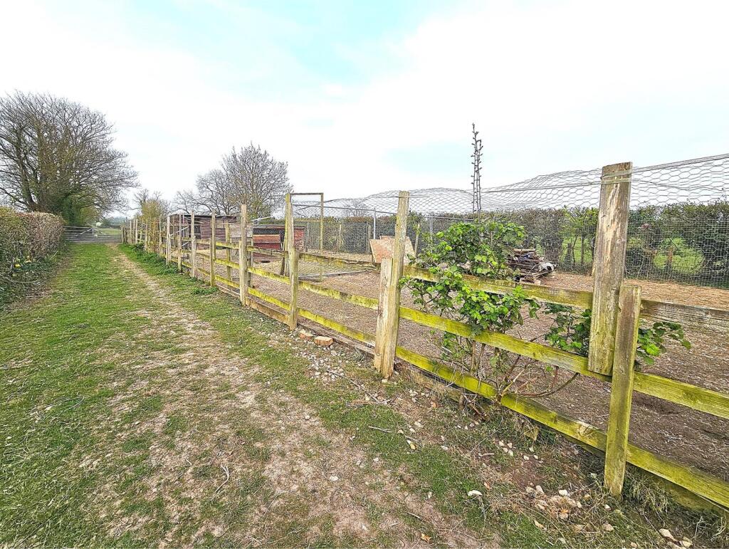 Chicken Coup Distant.jpg