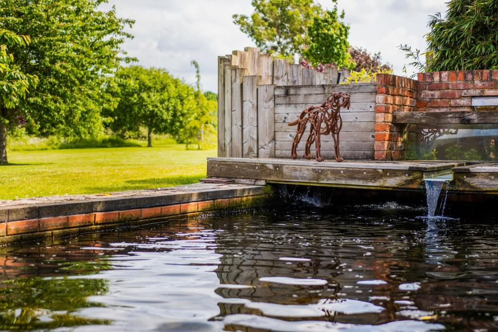 Fish Pond