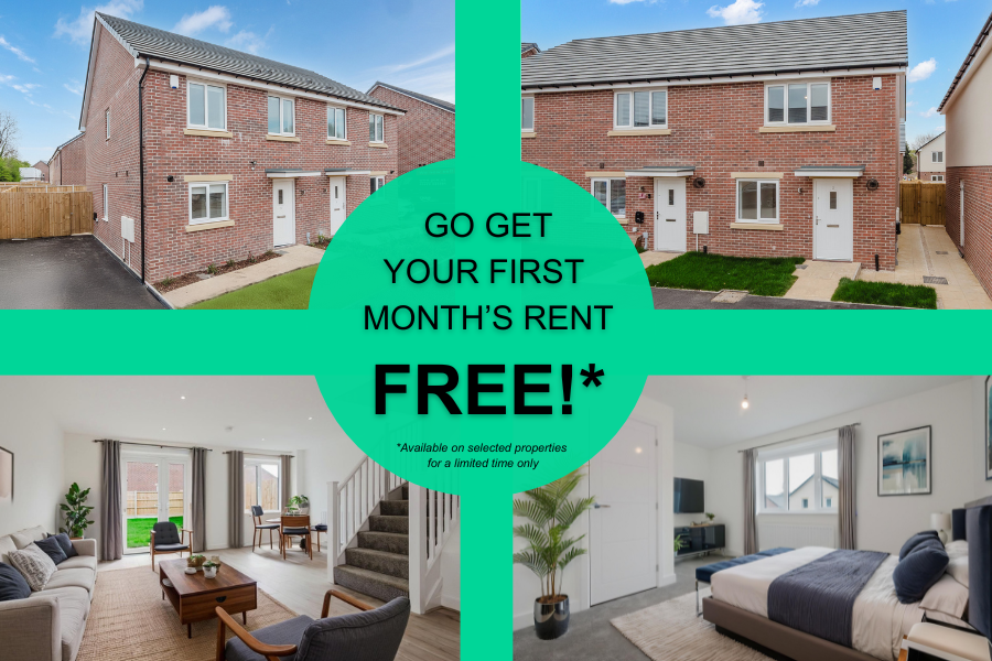 Waterlily Drive, Doncaster, DN5 7ZA