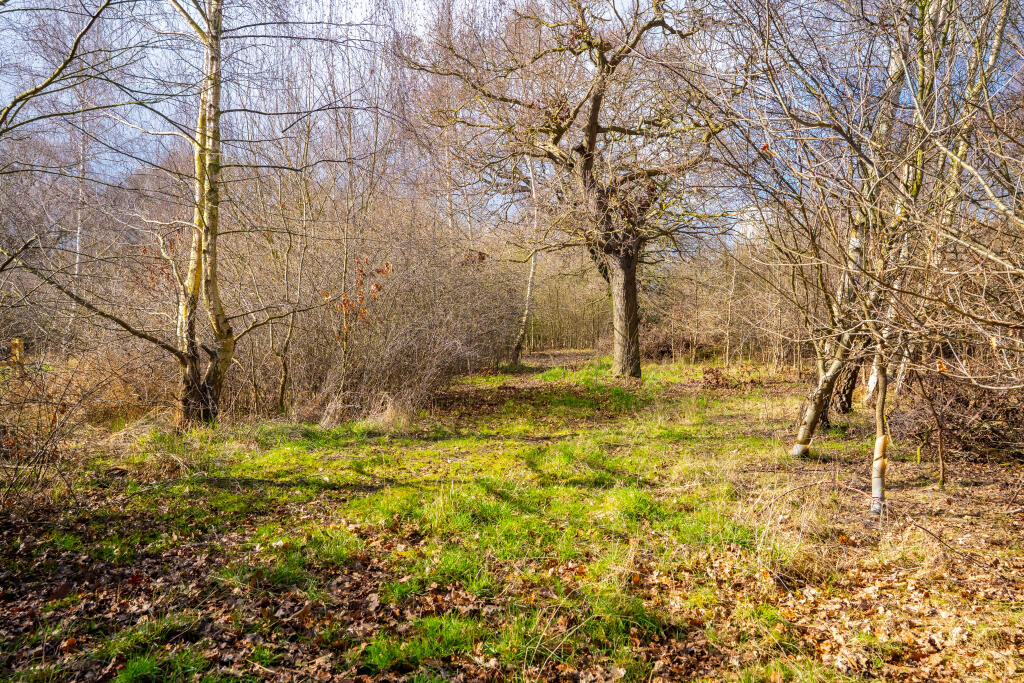 easthaggfarmground5