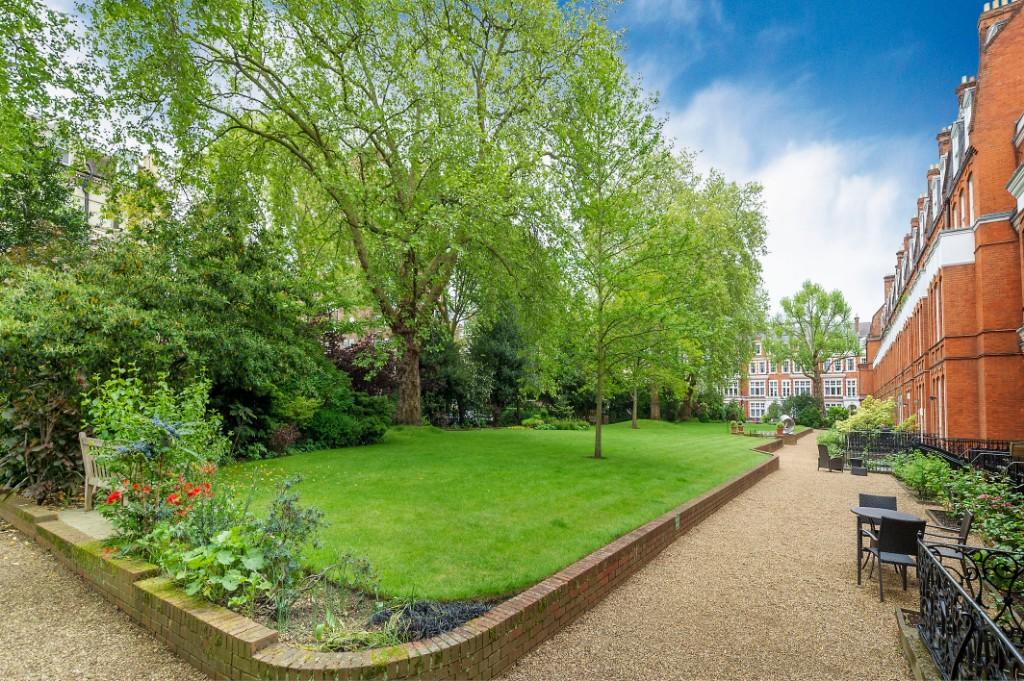 Communal Garden