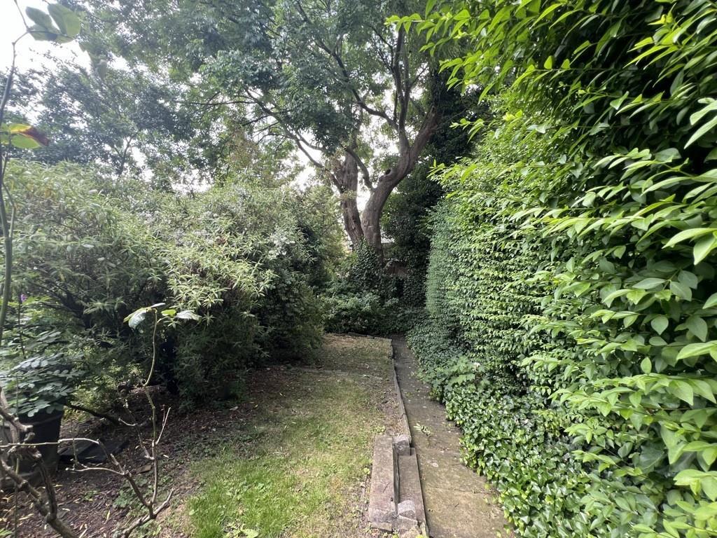crookesmoor 17.jpg