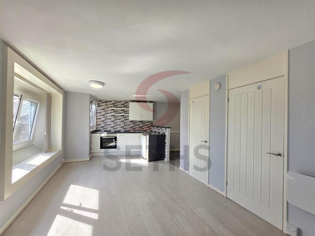 Bedroom/Lounge/Kitchen