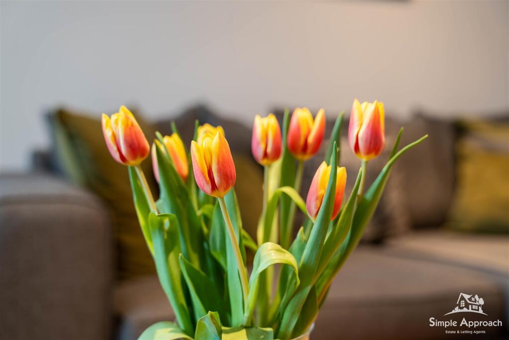 DSC03931-HDR.jpg