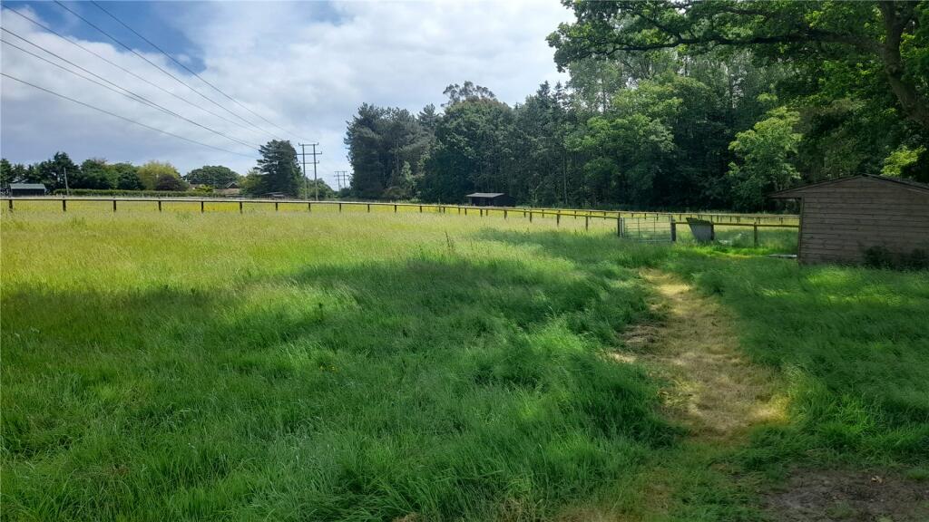 The Land