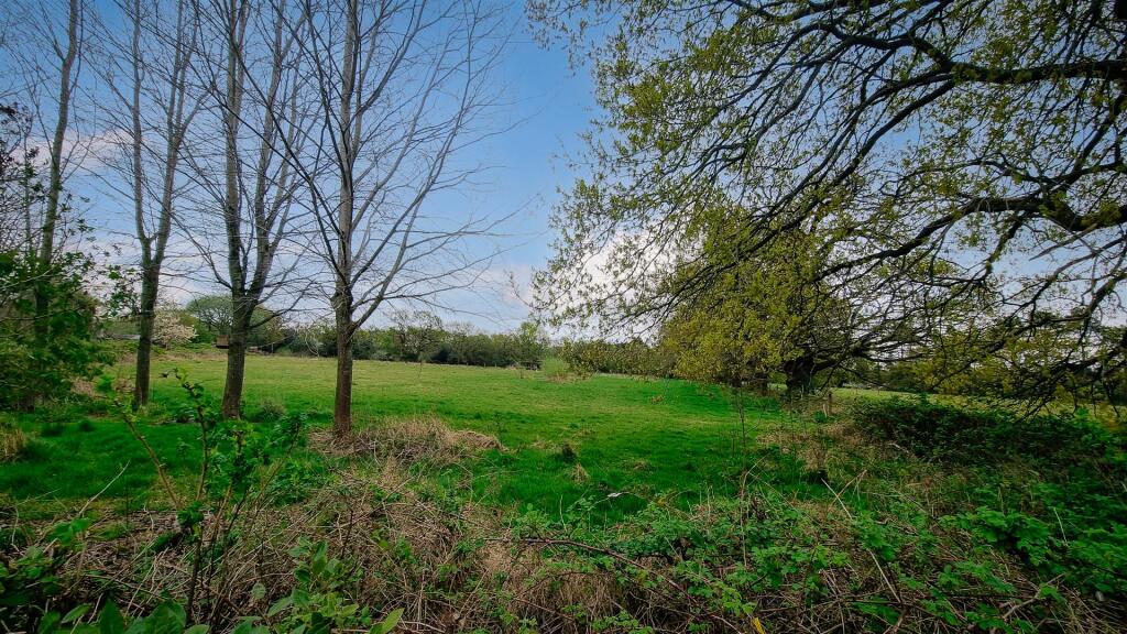 wilmore garden 4.jpg