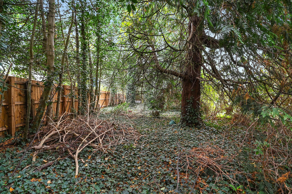 PT-DB(NM)-1Wyndha...