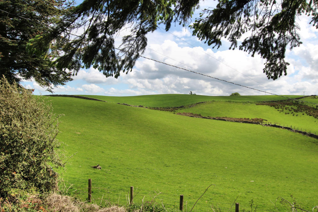 Torwilkie, Balmaclellan - Williamson and Henry