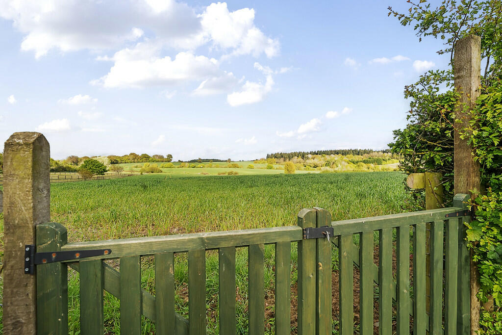 IMG_12217_21_larg...