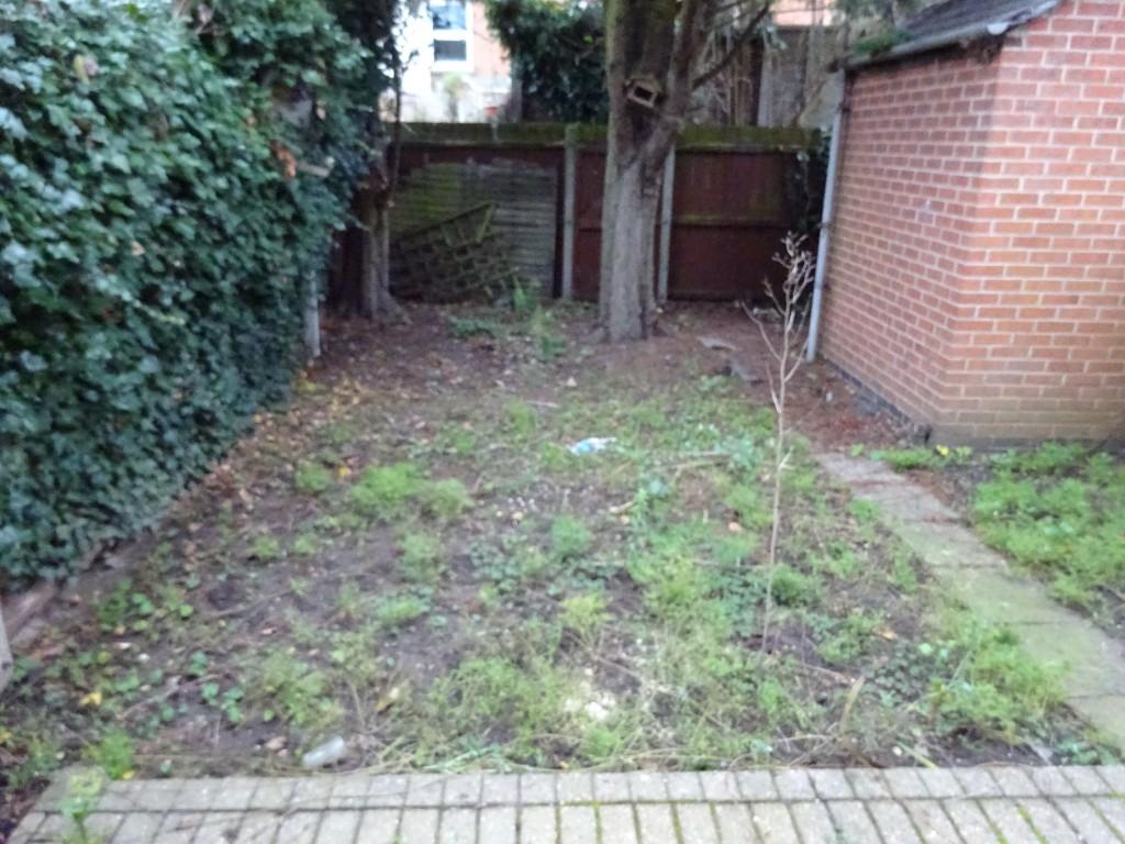Garden 1