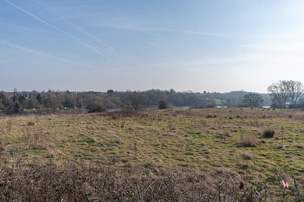 DSC00823.jpg