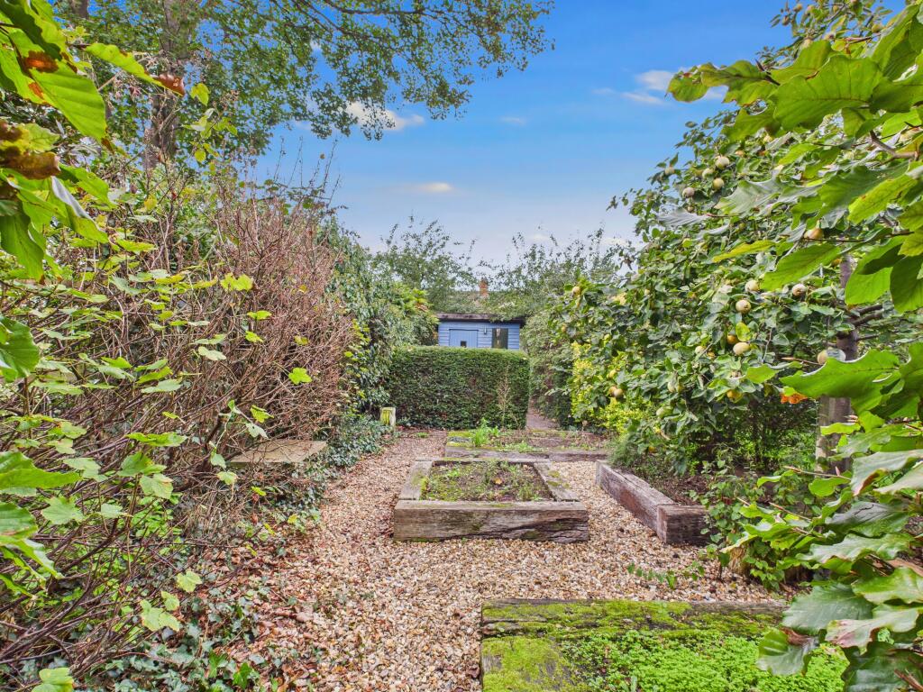 Garden 2.jpg