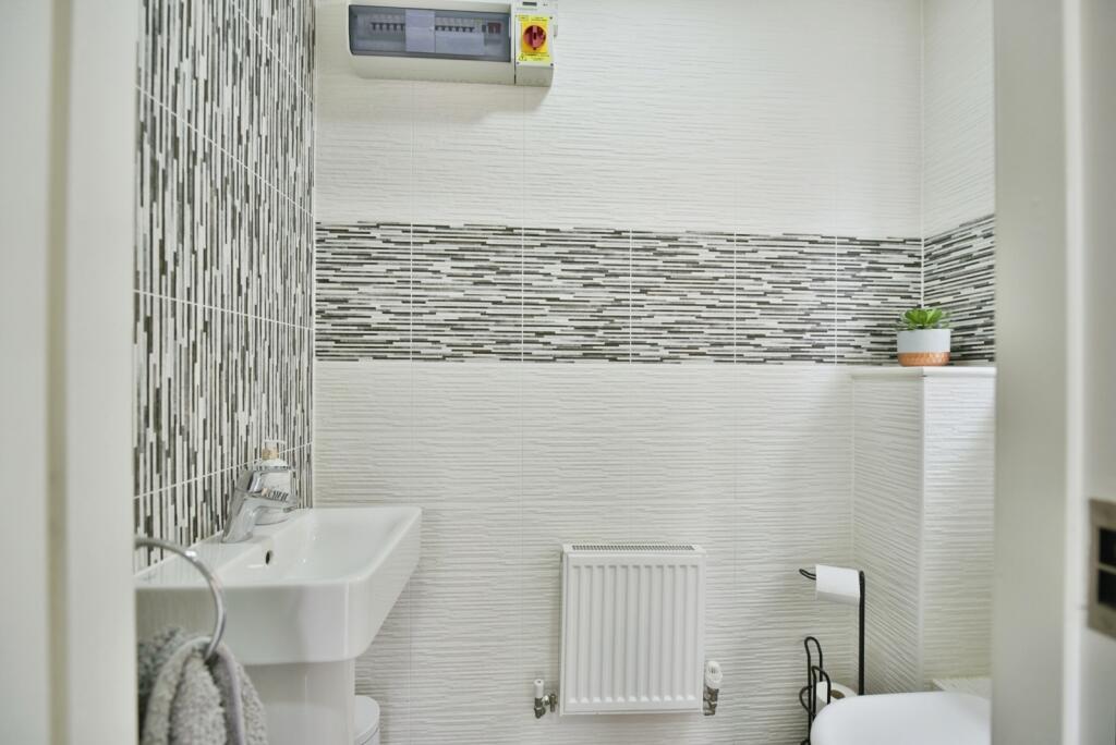 Downstairs Toiler