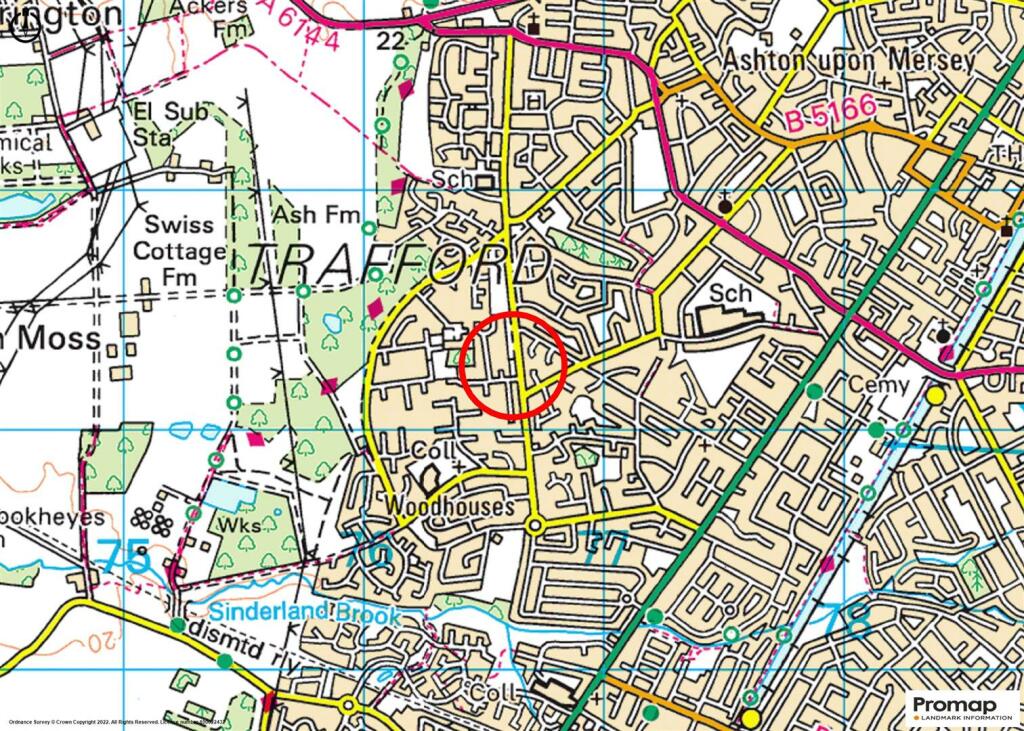 Town Plan