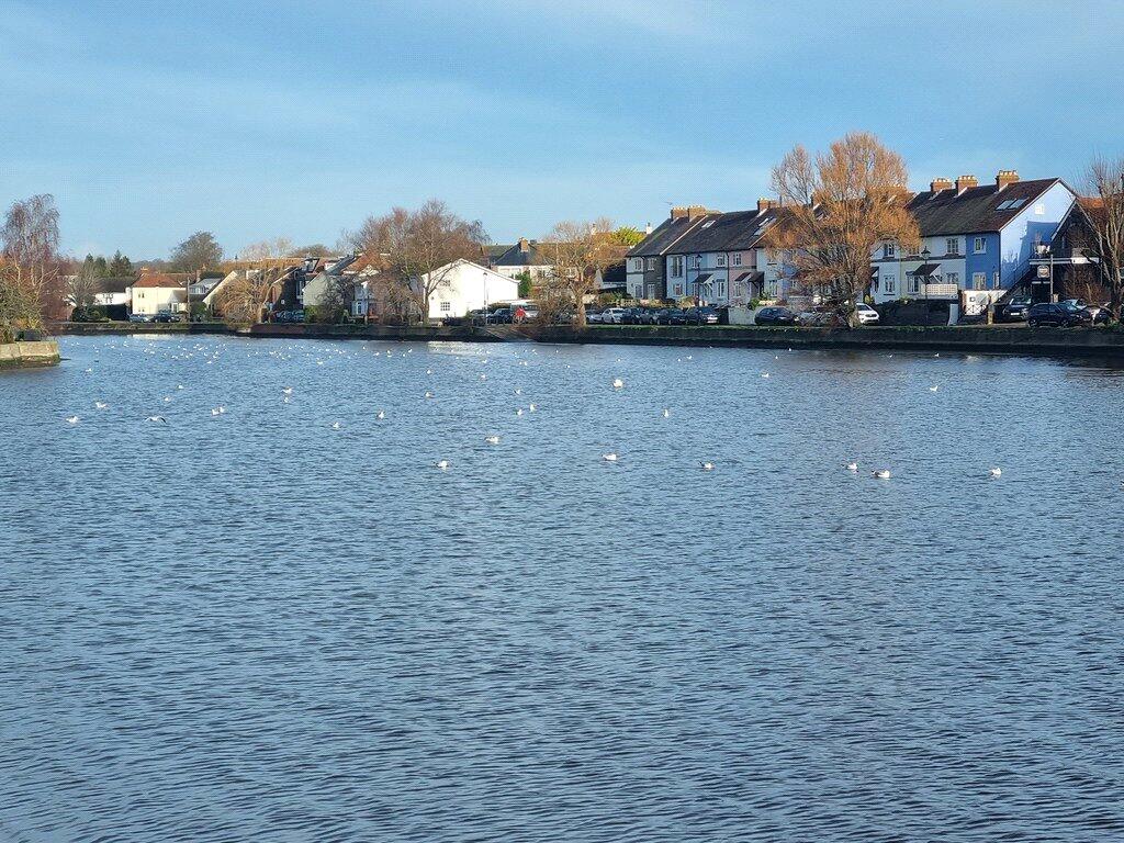 Emsworth Pond