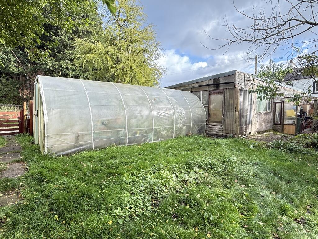 IMG 1744 T202510301636.jpg