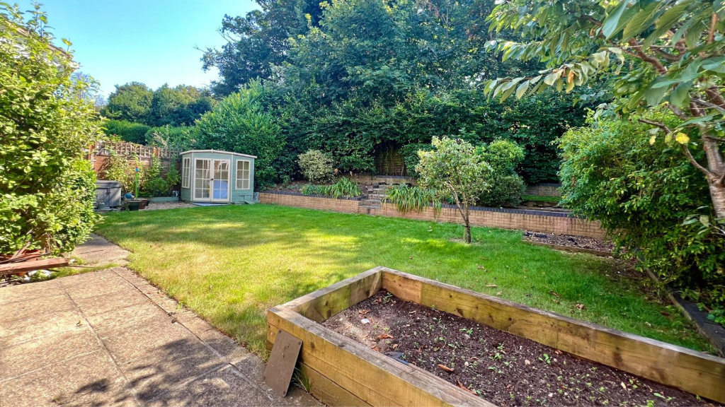 Back garden