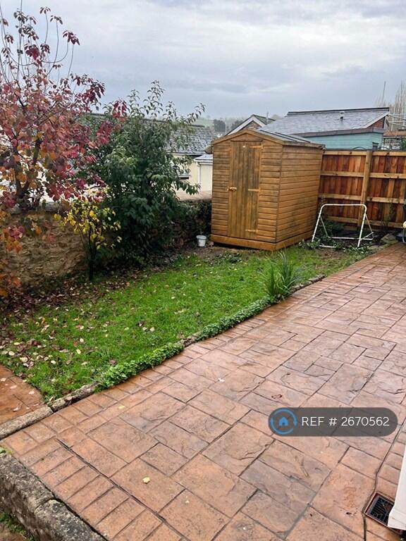 Back Garden