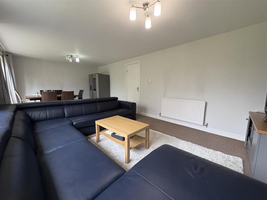 IMG_1099 (Large).jpeg