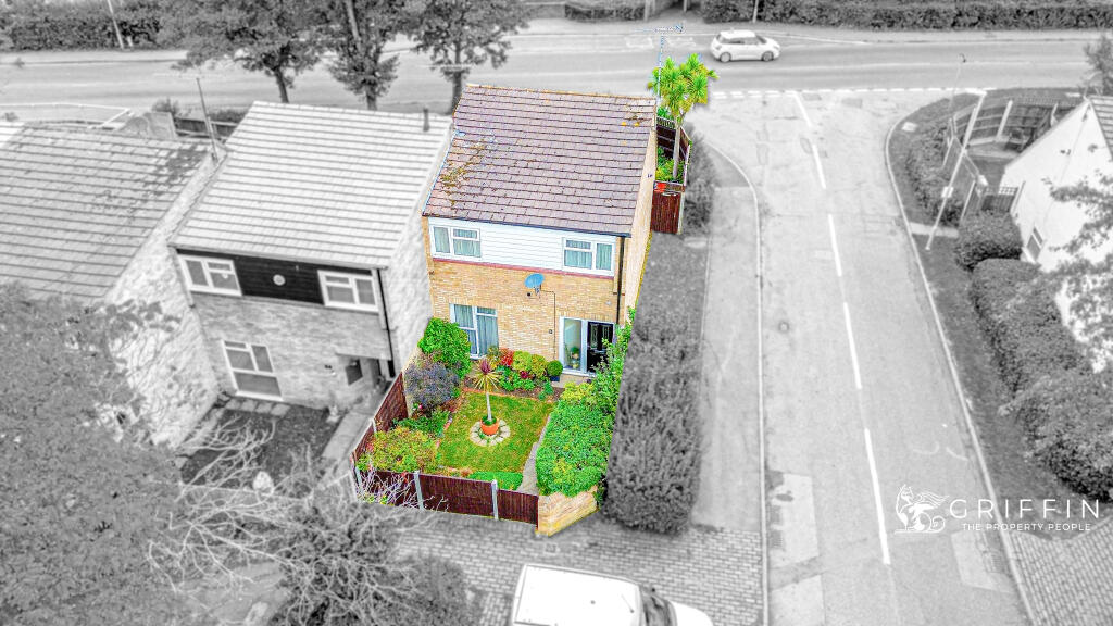19dji0245edit