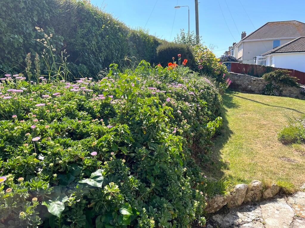 Side garden