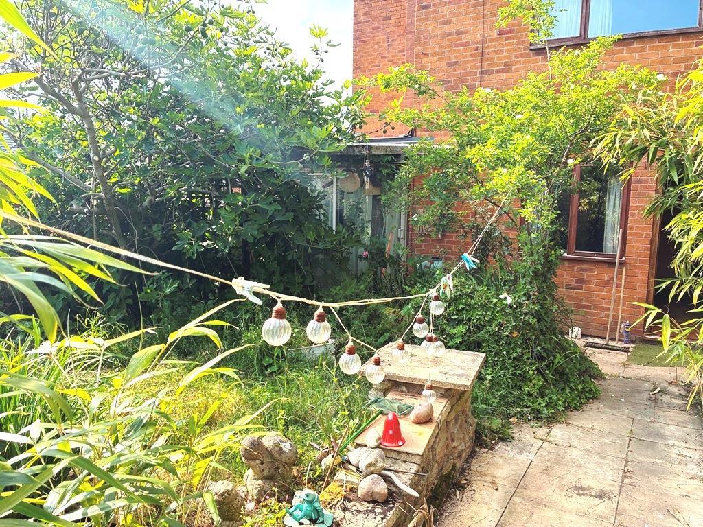 Garden (2).JPG