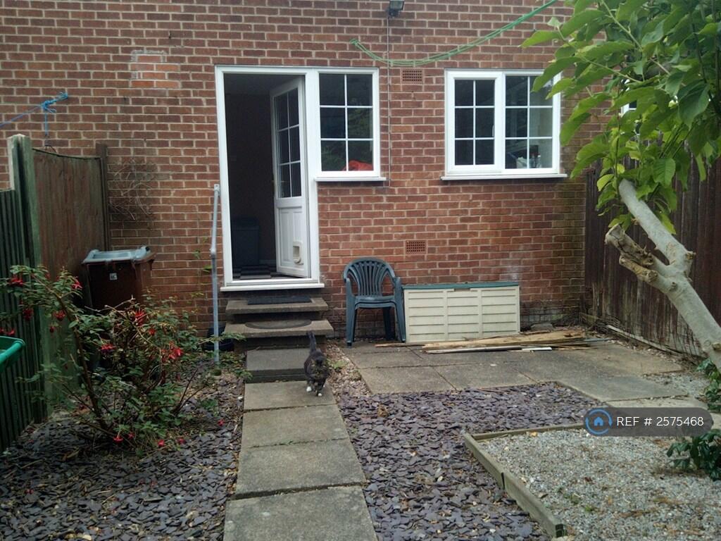 Low Maintenance Garden