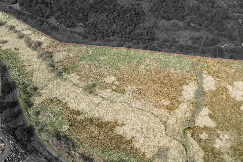 dji_fly_20250404_22704?pm_900_1743773240254_photo.