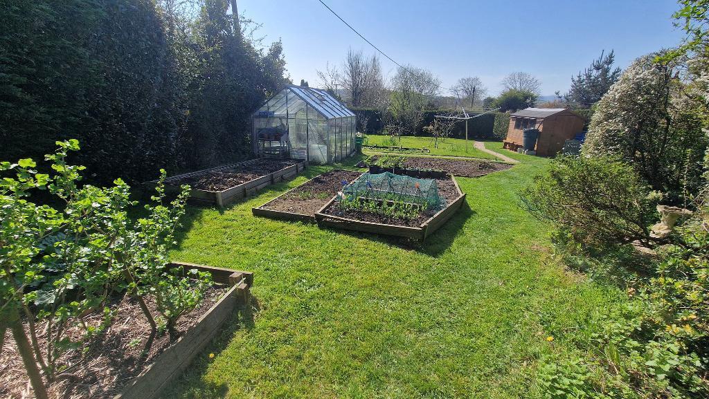 Meadow Garden