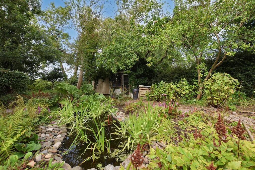 Garden - Pond