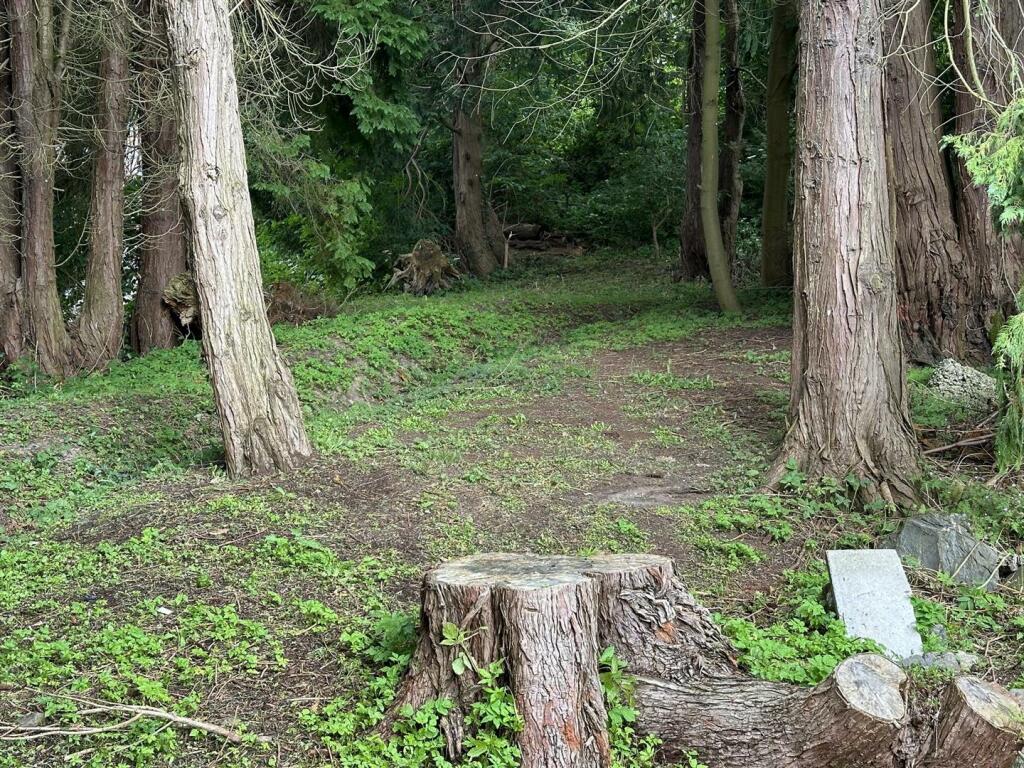 Messenger_creation_ab3ebd3d-a292-4517-bdad-76f48ad