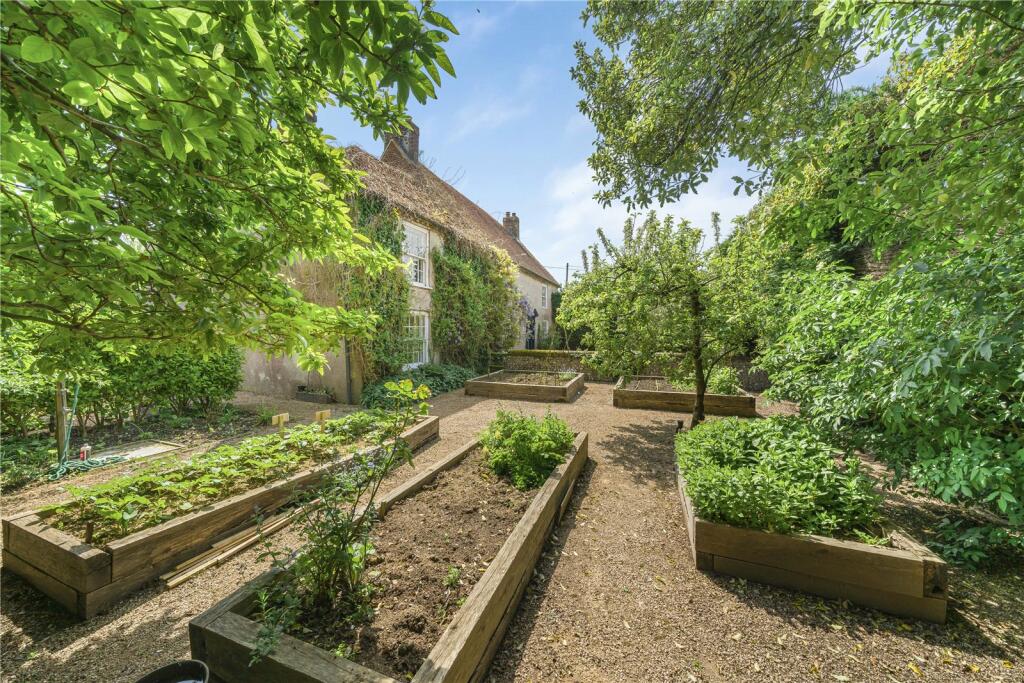 Veg Plot