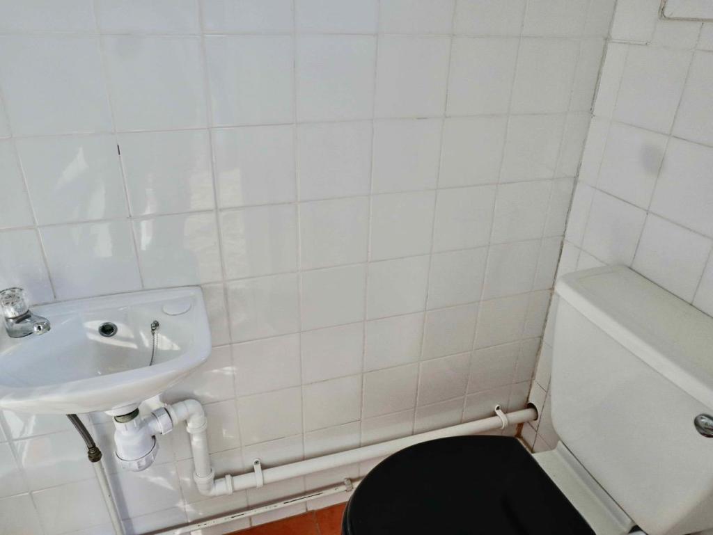 toilet.jpg