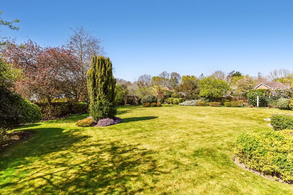 sketch_Ph29_58557...