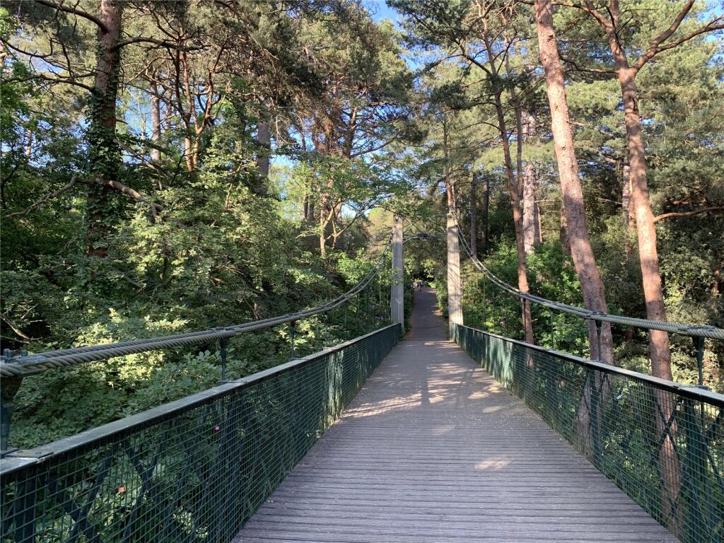 Bridge At Alum Chine