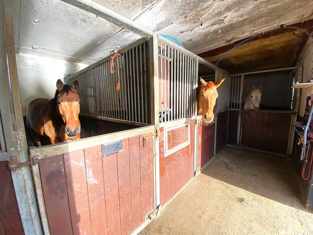 Stalls Internal.JPEG