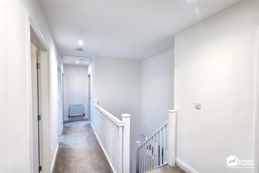 IMAGE 7