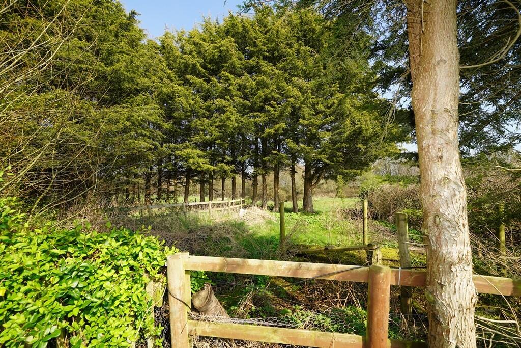 Included to the f...