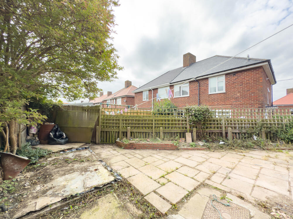 IMG 2096 T202507301918.jpg